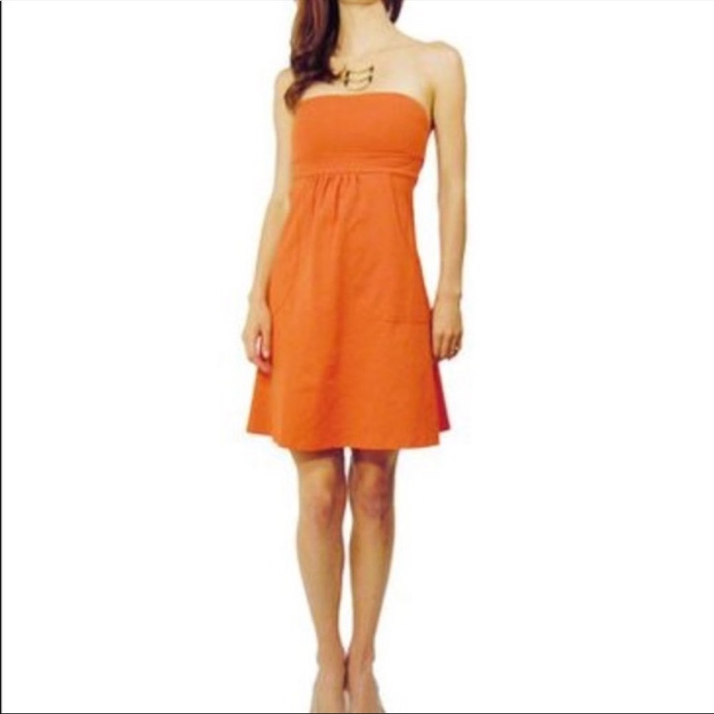 Classic, Susana Monaco Brown Pocket Tube Dress